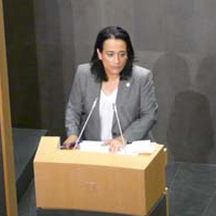 Rafaela Romero, Portavoz del PSE-EE en JJ GG de Gipuzkoa