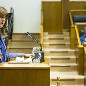 Idoia Mendia durante su intervencin en el Pleno de Poltica General