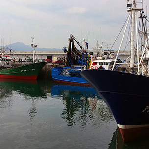 Puerto de Hondarribia (Gipuzkoa). [Foto: Socialistas Vascos]