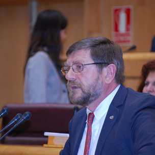 Roberto Lertxundi, Senador socialista