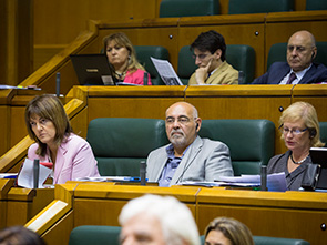 Idoia Mendia interviene en el Pleno de Poltica General [Foto: Socialistas Vascos]