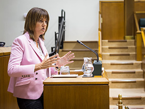 Idoia Mendia interviene en el Pleno de Poltica General [Foto: Socialistas Vascos]