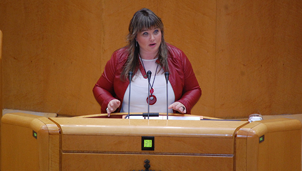 Senatuko presidenteordea eta Arabarengatiko PSE-EEko diputatua, Yolanda Vicente, Euskal Autonomia Erkidegoarekiko Ekonomia Ituna onesteko Lege Proiektua eztabaidatu eta onetsi denean