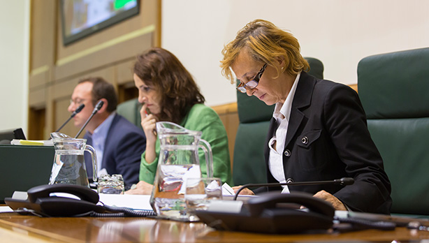 Blanca Roncal legebiltzarkidea Eusko Legebiltzarrean (artxibo-argazkia). [Argazkia: Euskal Sozialistak]