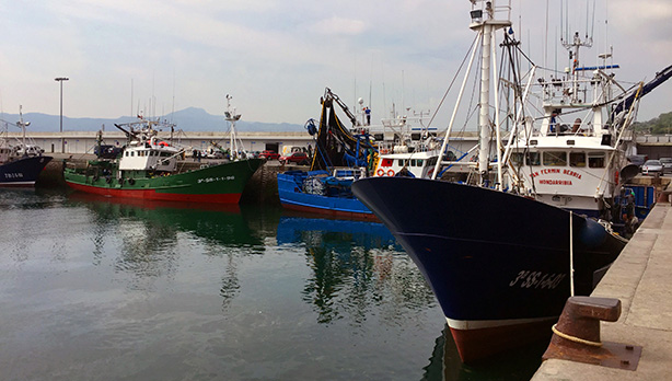 Puerto de Hondarribia (Gipuzkoa). [Foto: Socialistas Vascos]