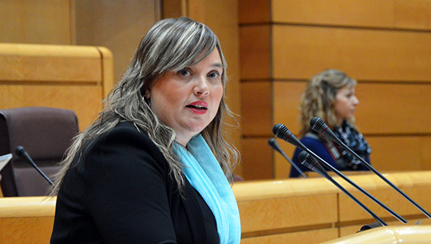 Yolanda Vicente, en el Senado. [Foto: Socialistas Vascos]